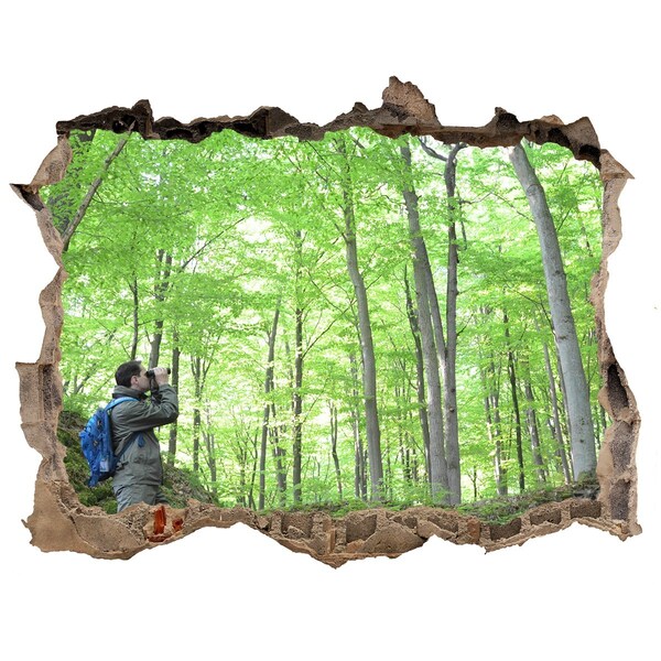 Hole wall sticker Ornithologist in the forest