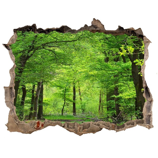 Hole wall sticker Green Forest in a Hole in the Wall