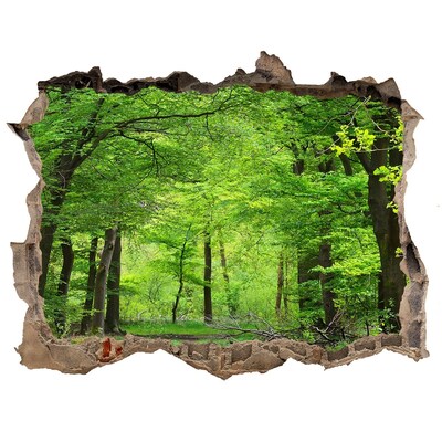 Hole wall sticker Green Forest in a Hole in the Wall
