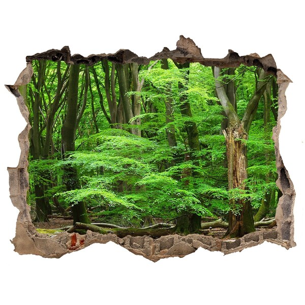 3D wall hole Green Forest in a Hole in the Wall
