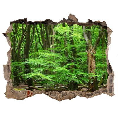 3D wall hole Green Forest in a Hole in the Wall