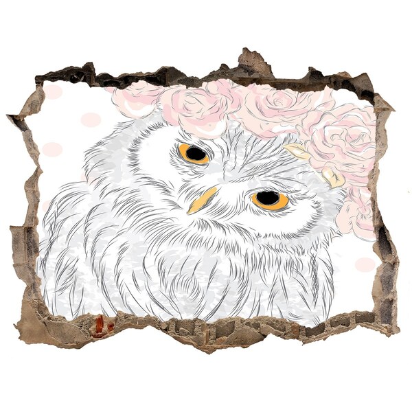 3D wall hole wallpaper Owl with roses