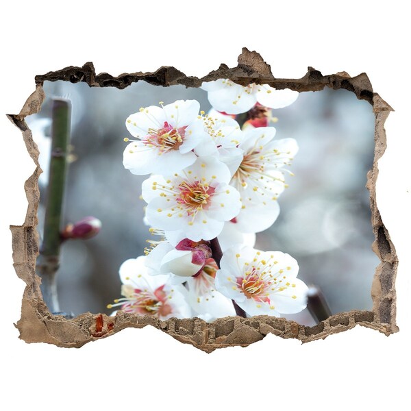 Hole wall sticker Cherry blossoms