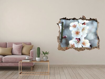 Hole wall sticker Cherry blossoms