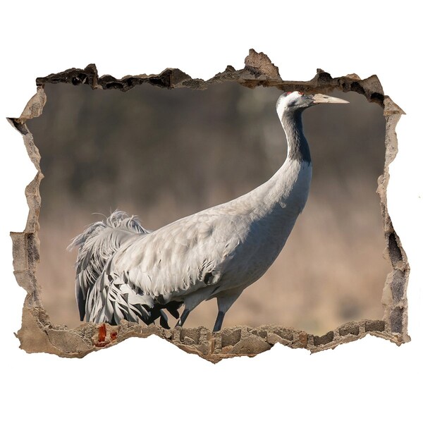 Hole wall sticker Crane in its natural habitat