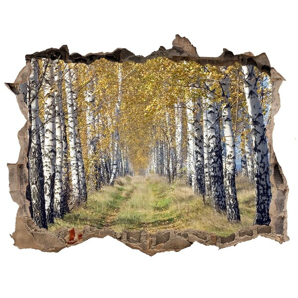 Hole in the wall decal Autumn birch alley