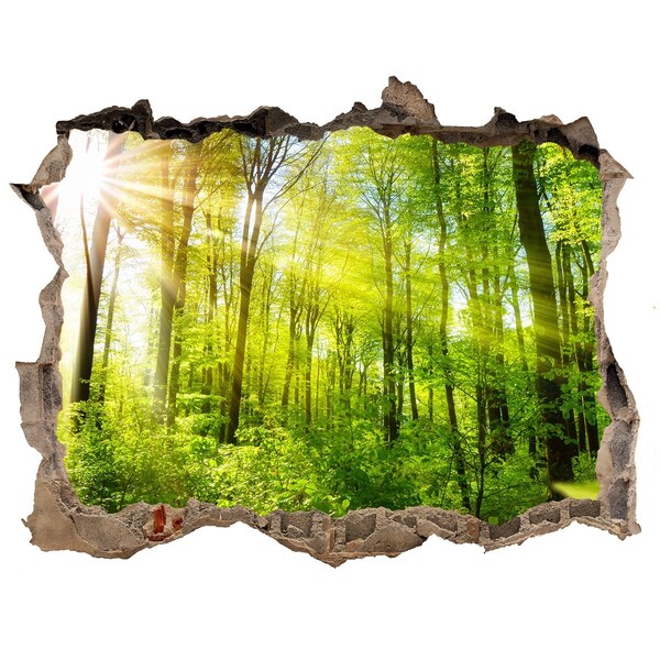 3D wall hole wallpaper Green forest with sun rays