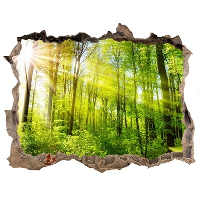 3D wall hole wallpaper Green forest with sun rays