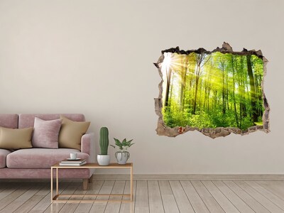 3D wall hole wallpaper Green forest with sun rays