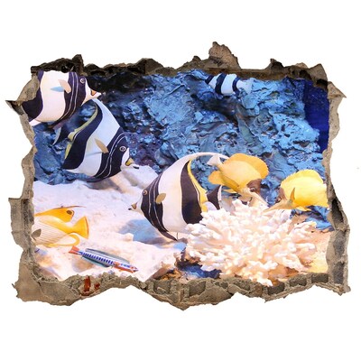 3D wall hole wallpaper The underwater world of the coral reef