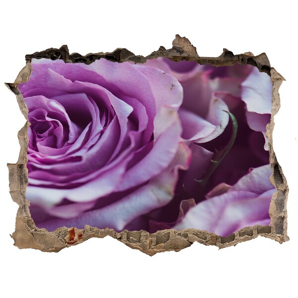 Hole in the wall sticker Purple roses