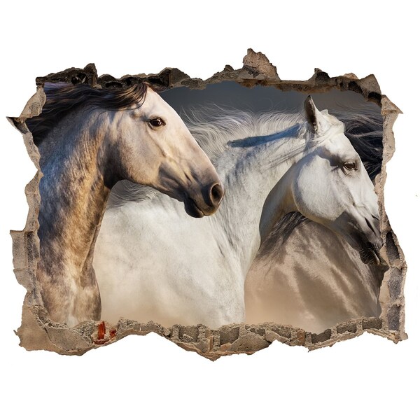 Hole wall sticker Two horses in motion