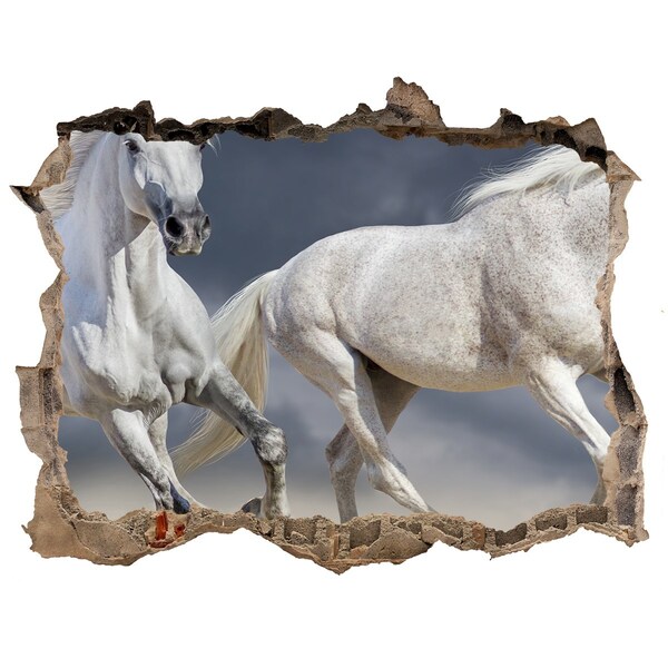 3D wall hole A white horse on the run