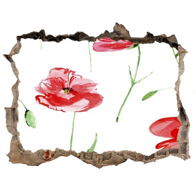 Hole wall sticker Flower Hole in the Wall