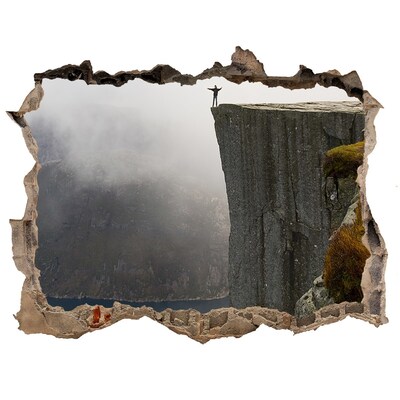 3D wall hole wallpaper View from the cliff above the fjord