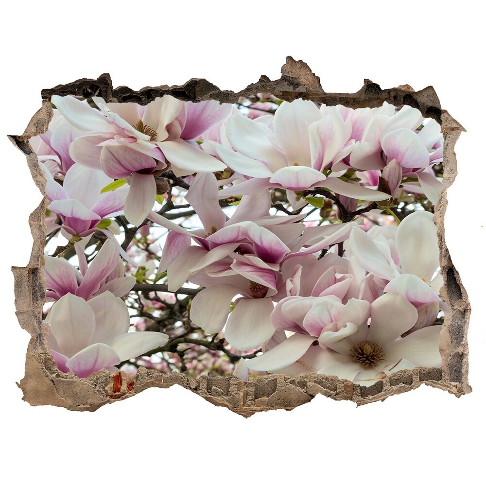 Hole in the wall sticker Magnolia flowers