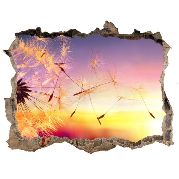 Hole in the wall sticker Flower dreams at sunset