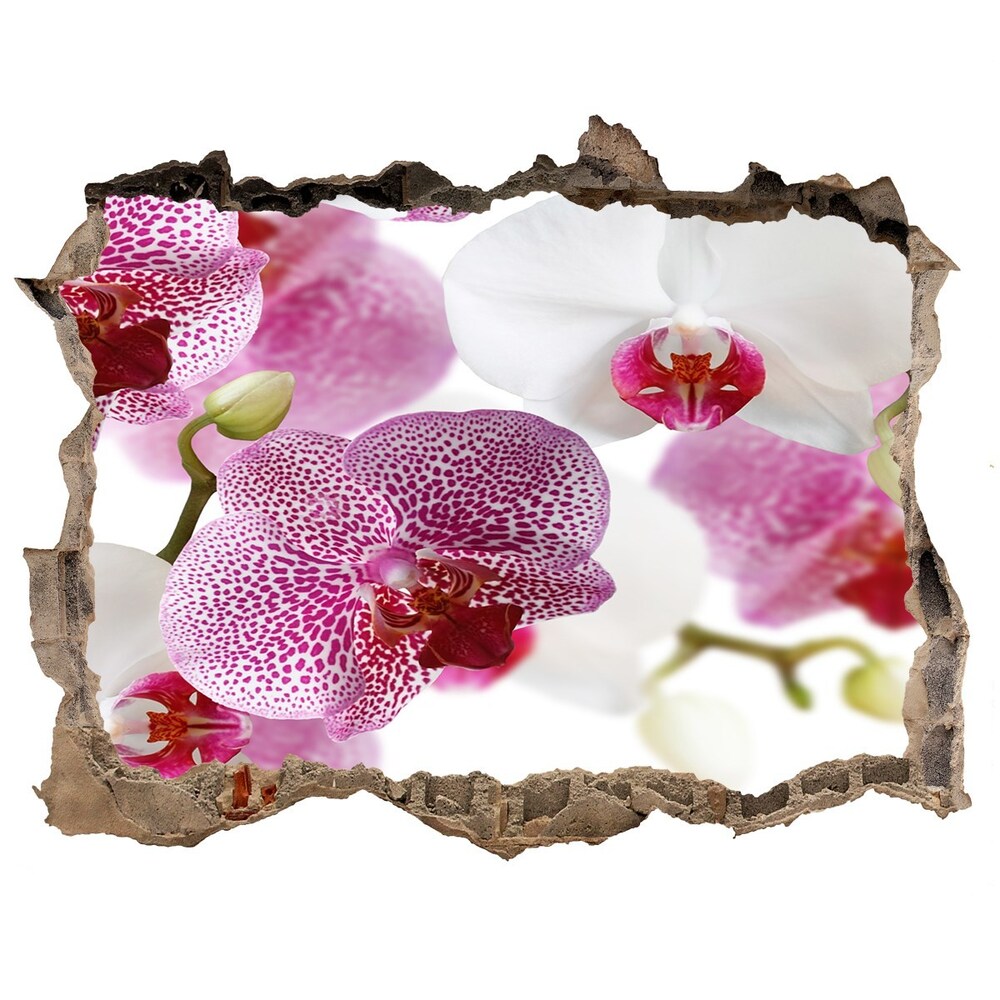 3D wall hole wallpaper Orchid wall mural