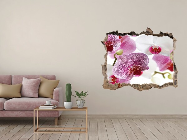 3D wall hole wallpaper A Hole-in-the-Wall Floral Oasis