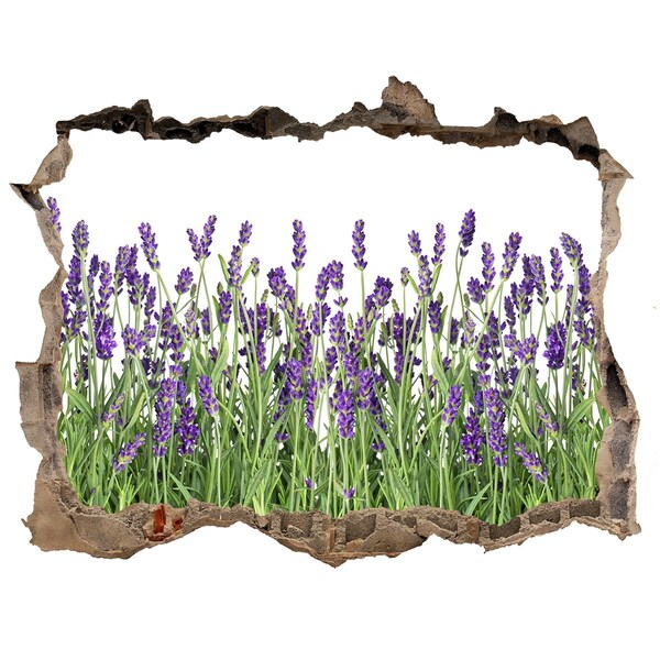 Hole wall sticker Floral oasis of lavender