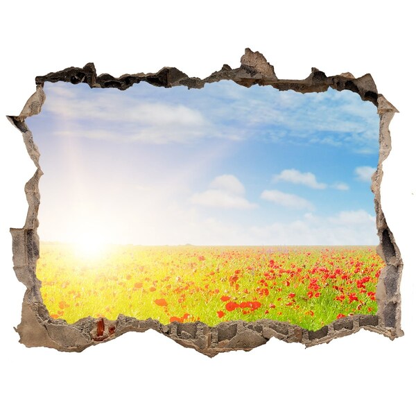 Hole wall sticker Flower meadow in the sunshine