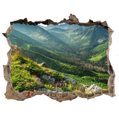 Hole in the wall decal Mountain landscape through a hole in the wall