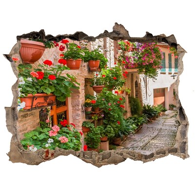 Hole in the wall decal Italian streets