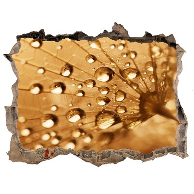 Hole in the wall sticker Drops on a leaf