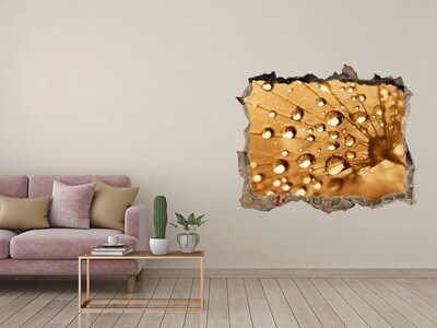 Hole in the wall sticker Drops on a leaf