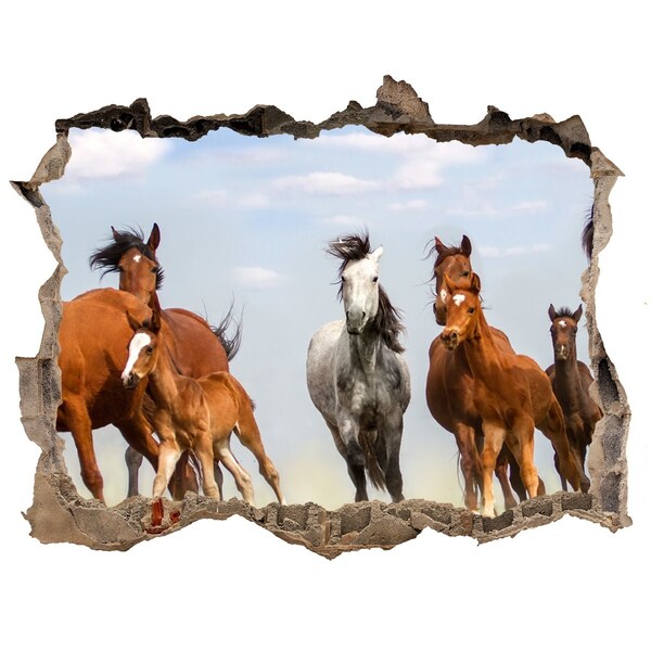 Hole in the wall decal Galloping horses in the meadow