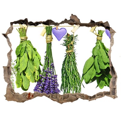 Hole in the wall decal Herbs on a string