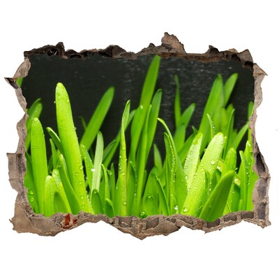 Hole in the wall decal Grass