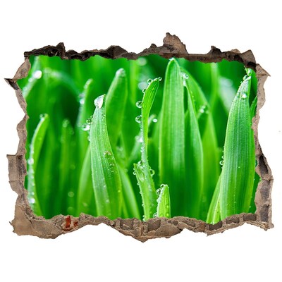 Hole wall sticker Green meadow with drops of water