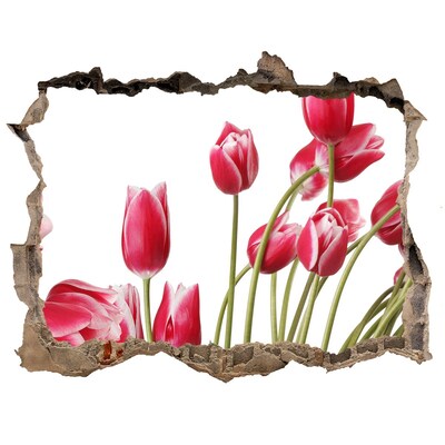 3D wall hole Red tulips