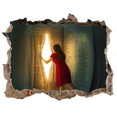 3D wall hole A Hole in Reality