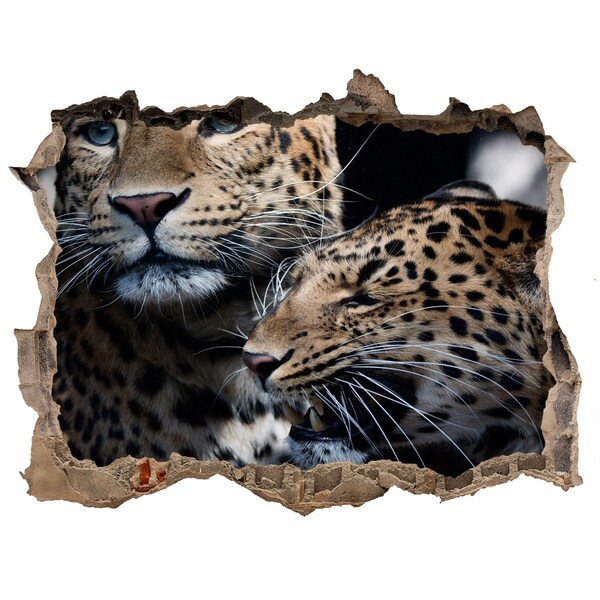 3D wall hole Two leopards