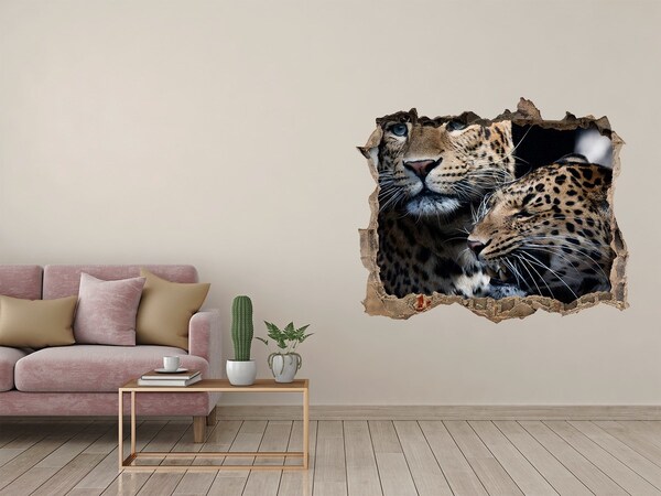 3D wall hole Two leopards