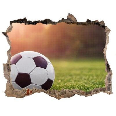 3D wall hole wallpaper Football gate on the pitch