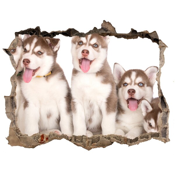 Hole wall sticker Husky puppies behind a hole in the wall