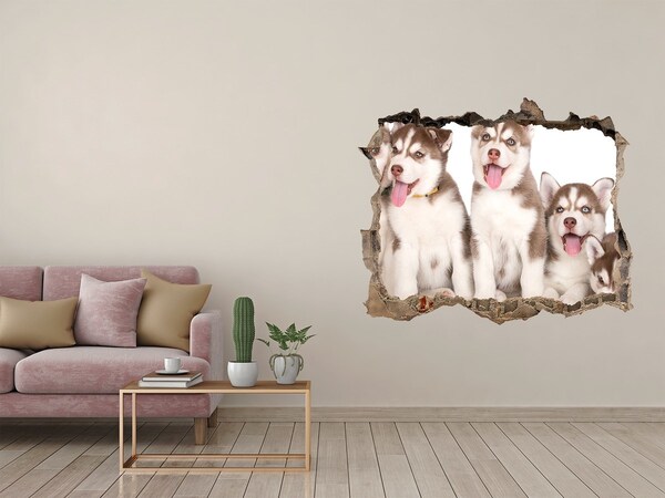 Hole wall sticker Husky puppies behind a hole in the wall