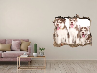 Hole wall sticker Husky puppies behind a hole in the wall
