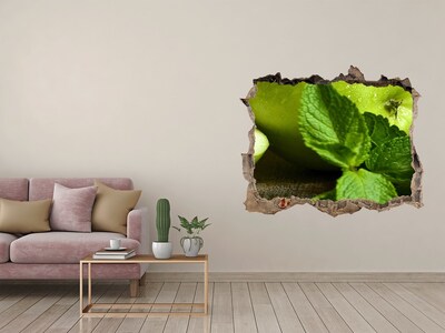 3D wall hole Green apple with mint