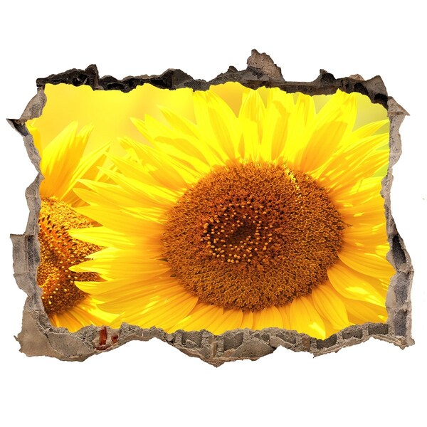 Hole wall sticker Sunflower in concrete
