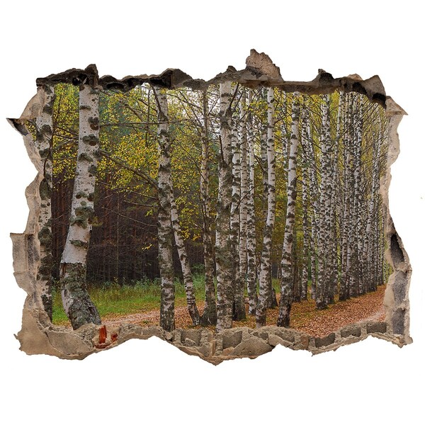 Hole wall sticker Forest alley among birches
