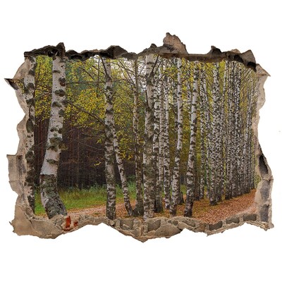 Hole wall sticker Forest alley among birches