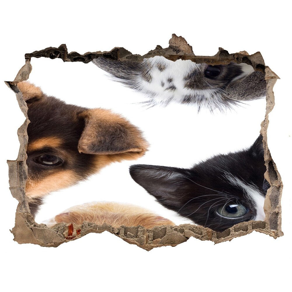 Hole in the wall sticker Pets