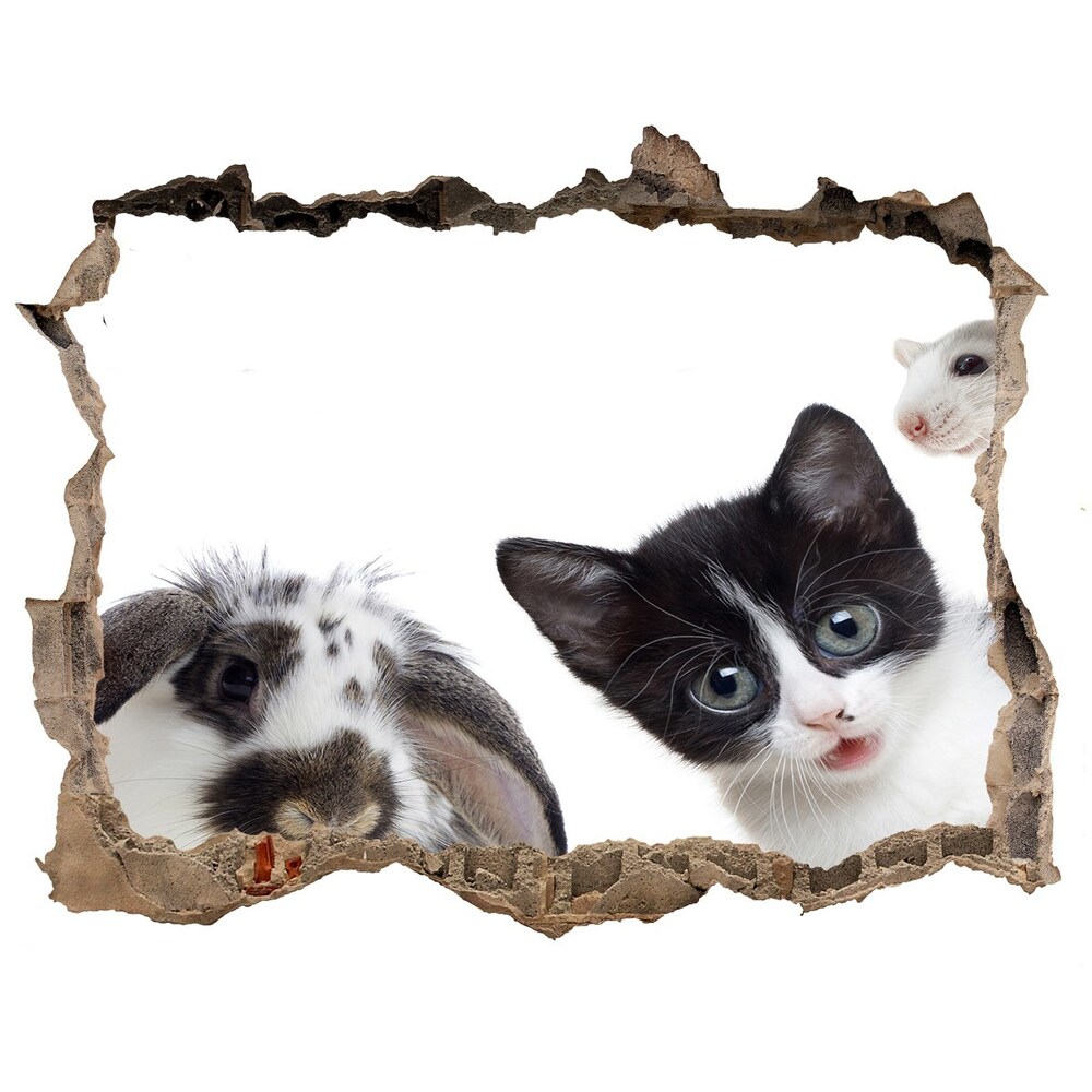 Hole wall sticker Pets