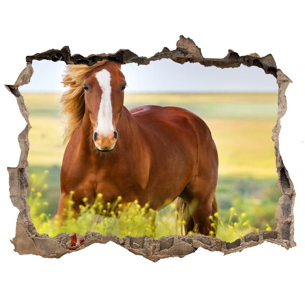 Hole in the wall decal Brown horse