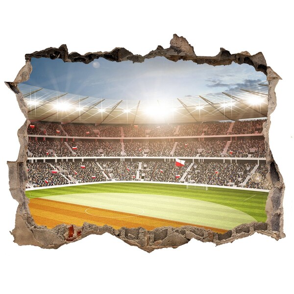 Hole in the wall sticker The stadium in action