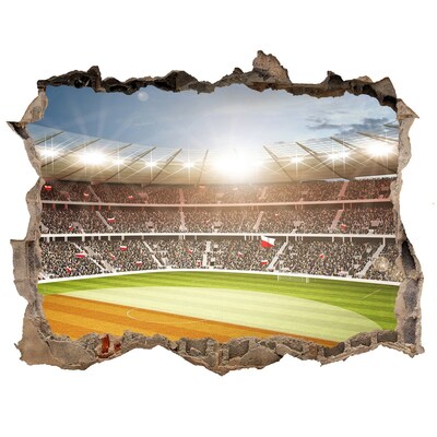Hole in the wall sticker The stadium in action